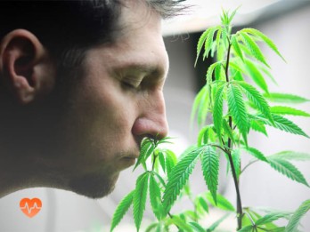 Детоксикация от марихуаны в Северобайкальске